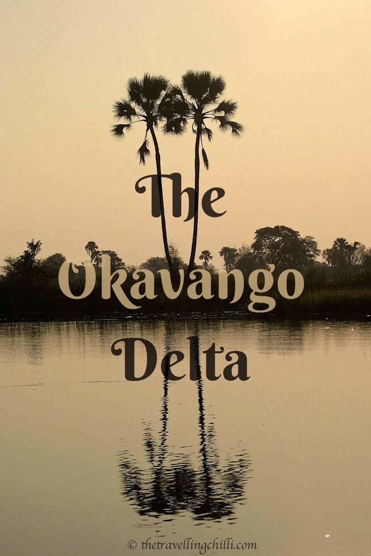 Okavango Delta (Botswana)
