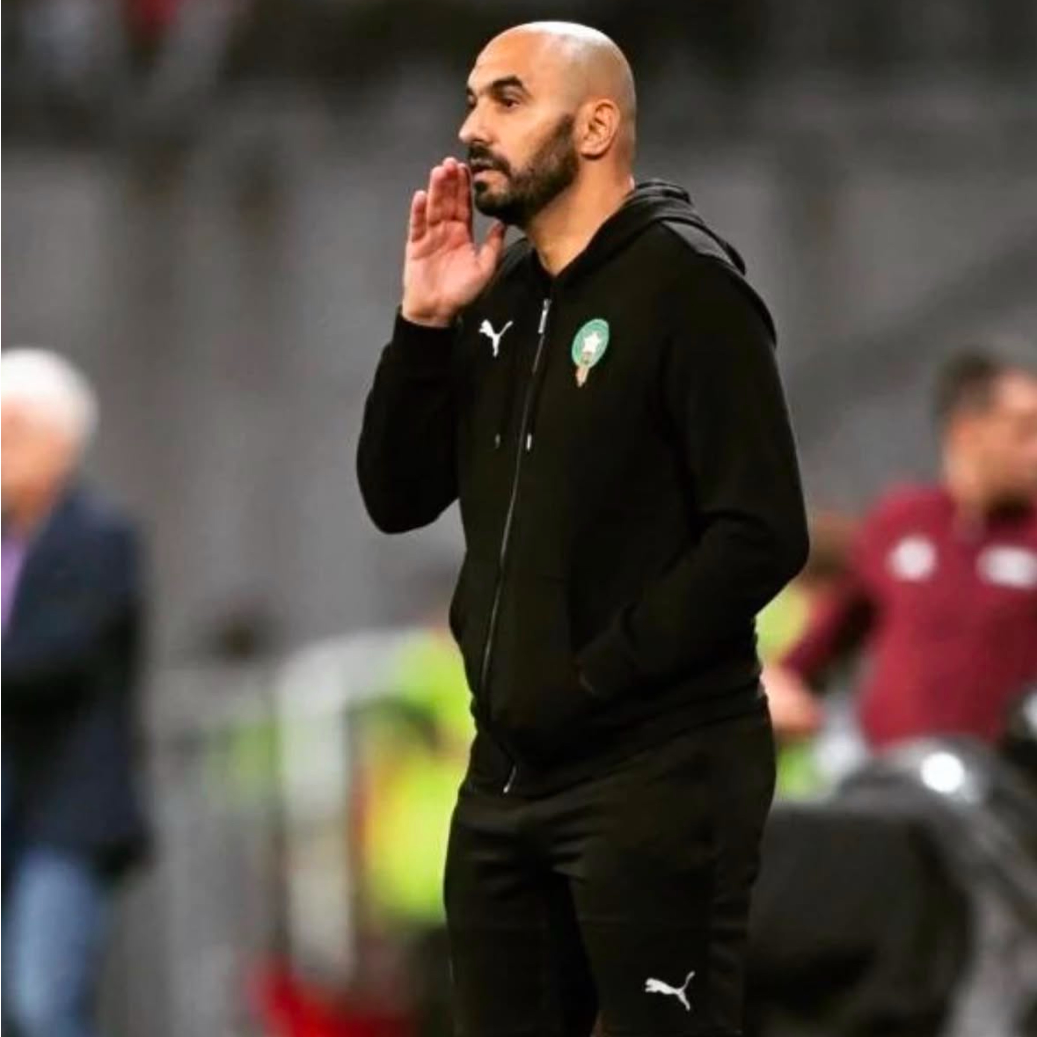 Walid Regragui(Morocco)