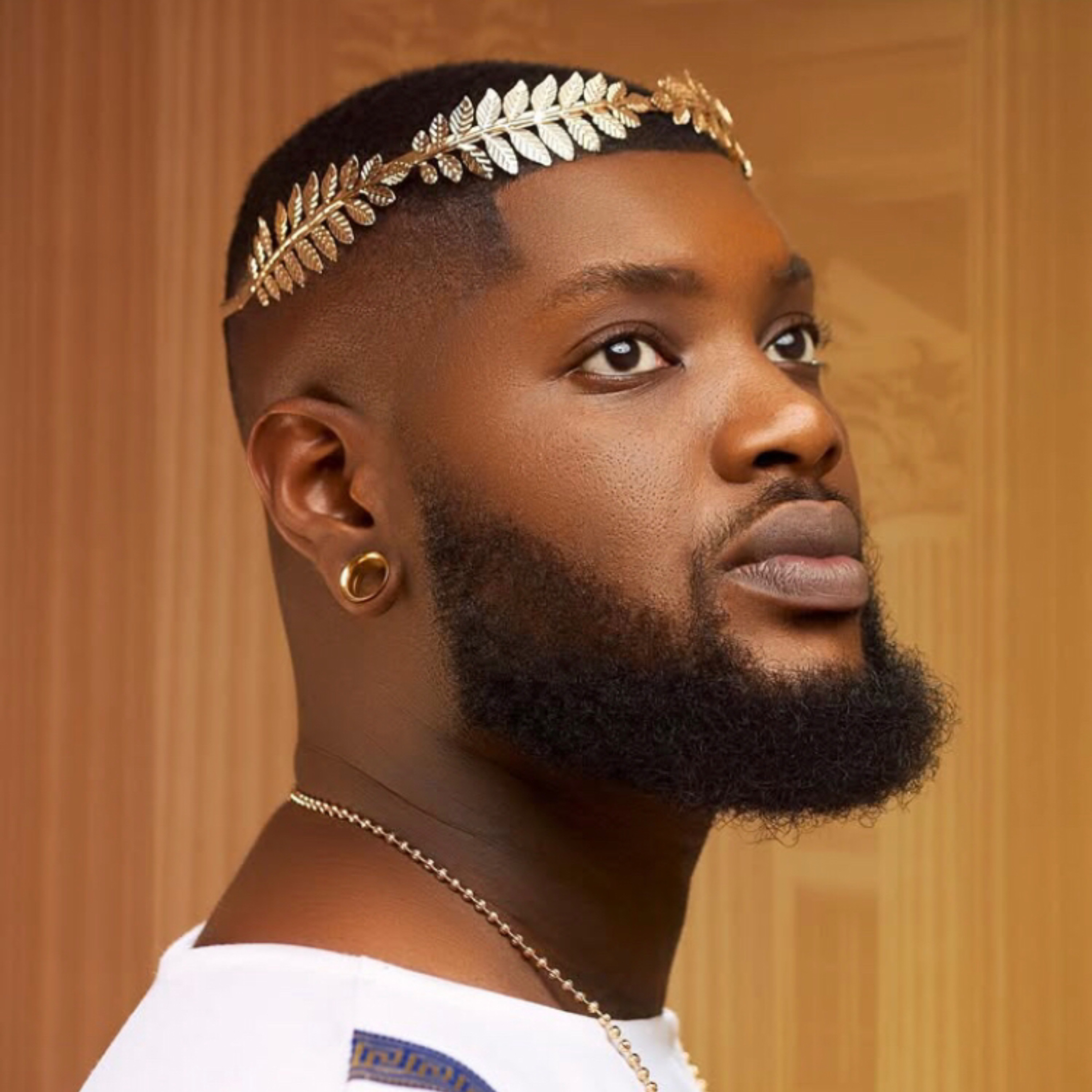 Pharoahshound (Nigeria)