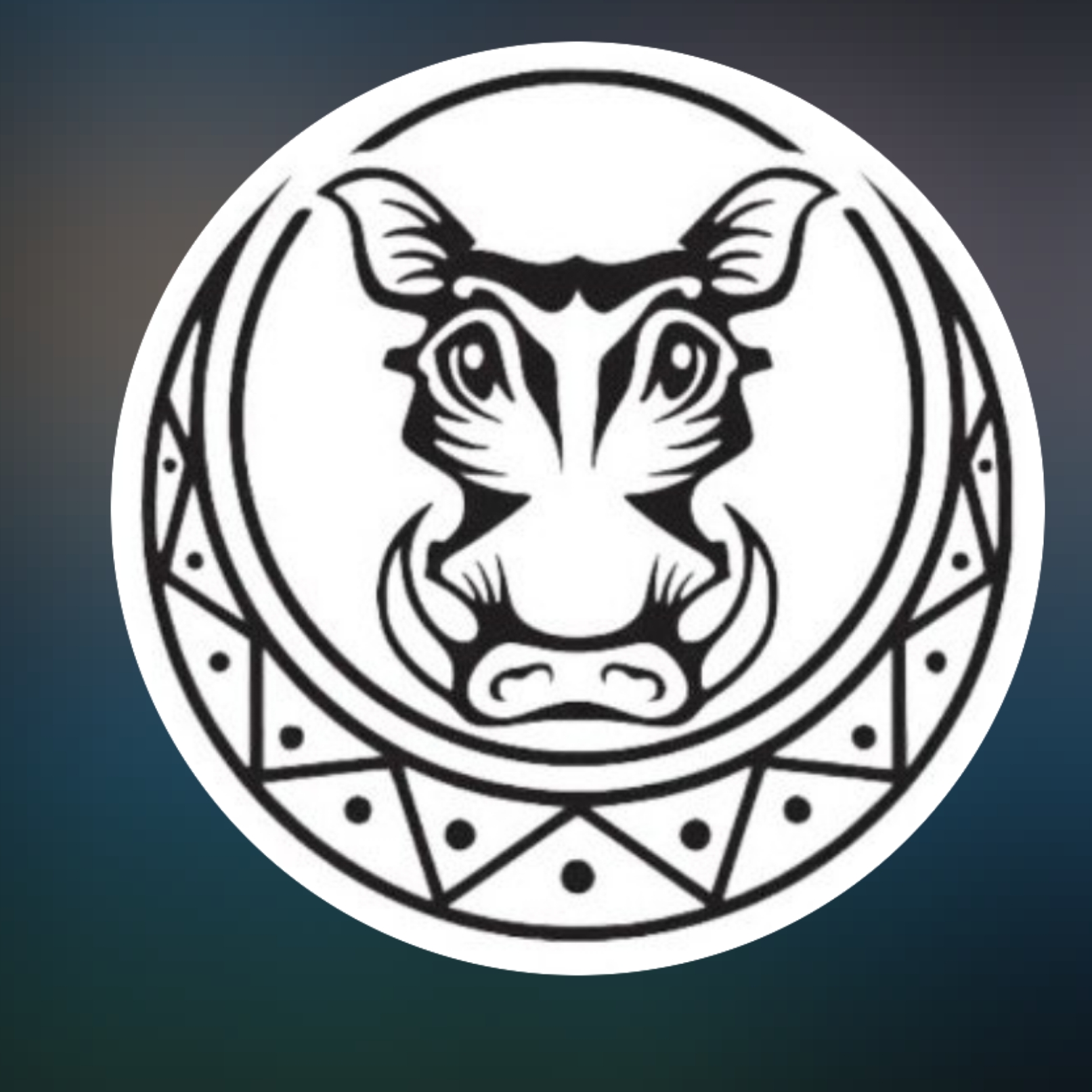 Harare International School (Zimbabwe)