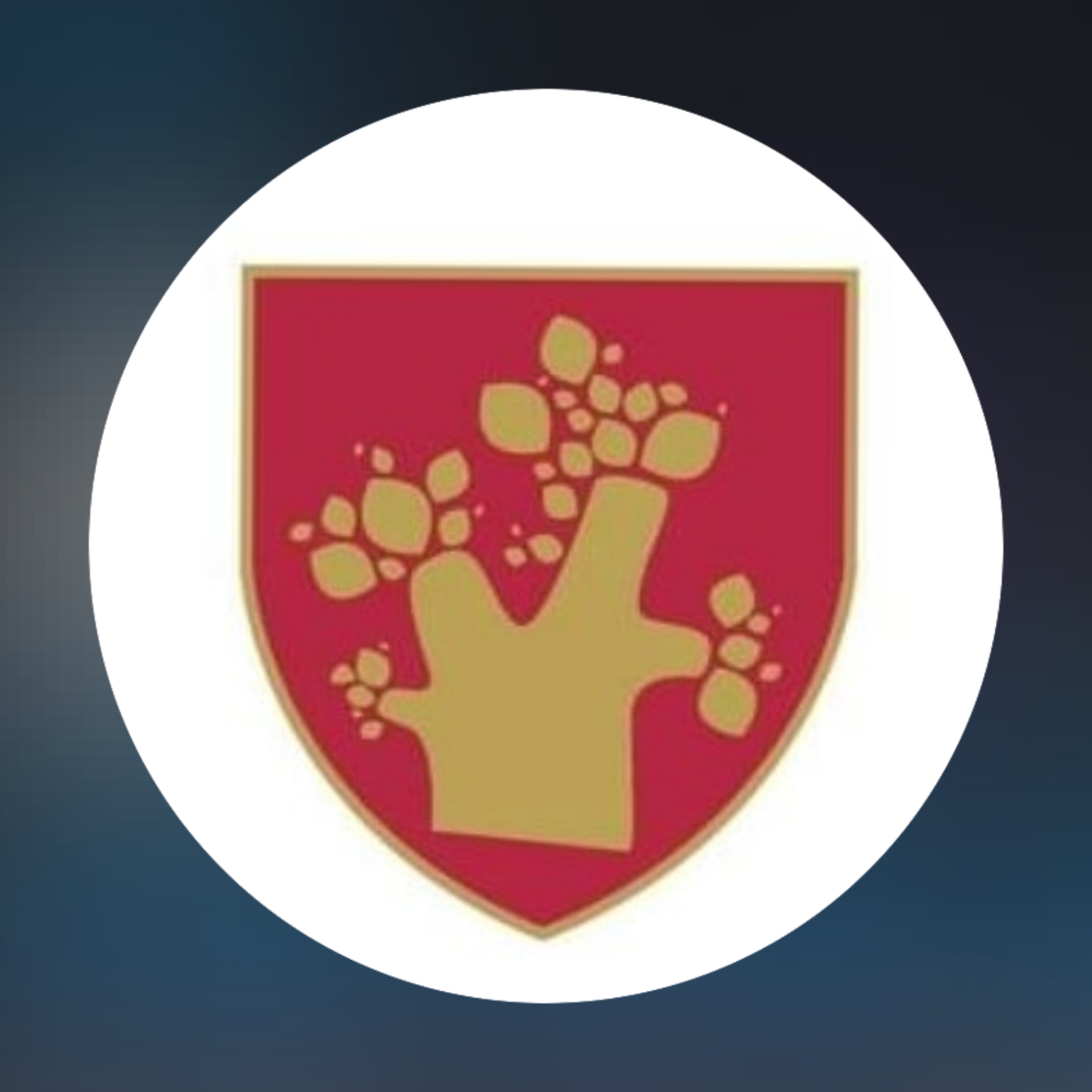 Brookhouse Schools (Kenya)