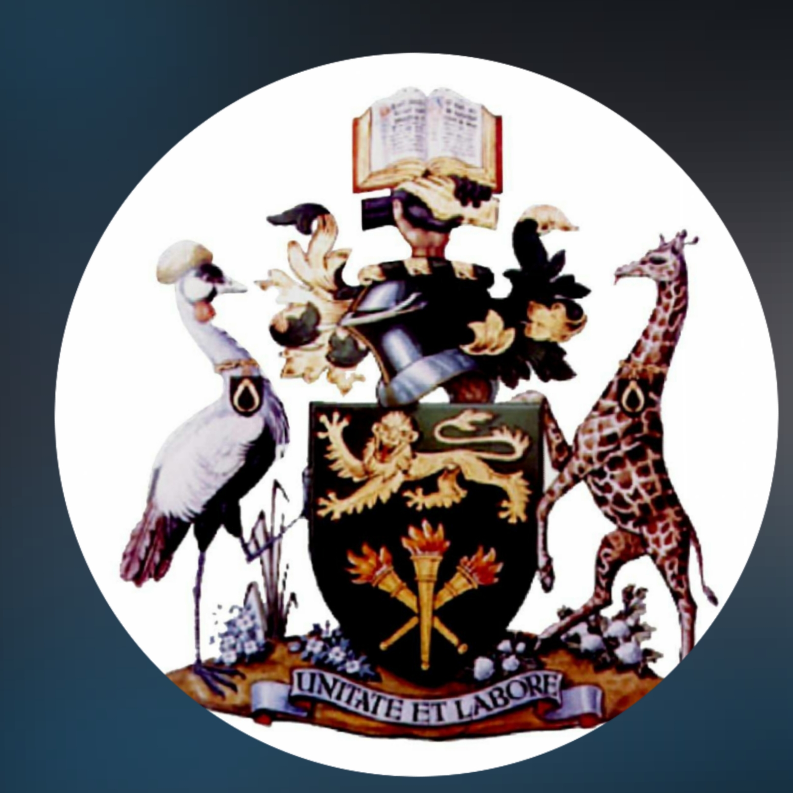 University of Nairobi (Kenya)