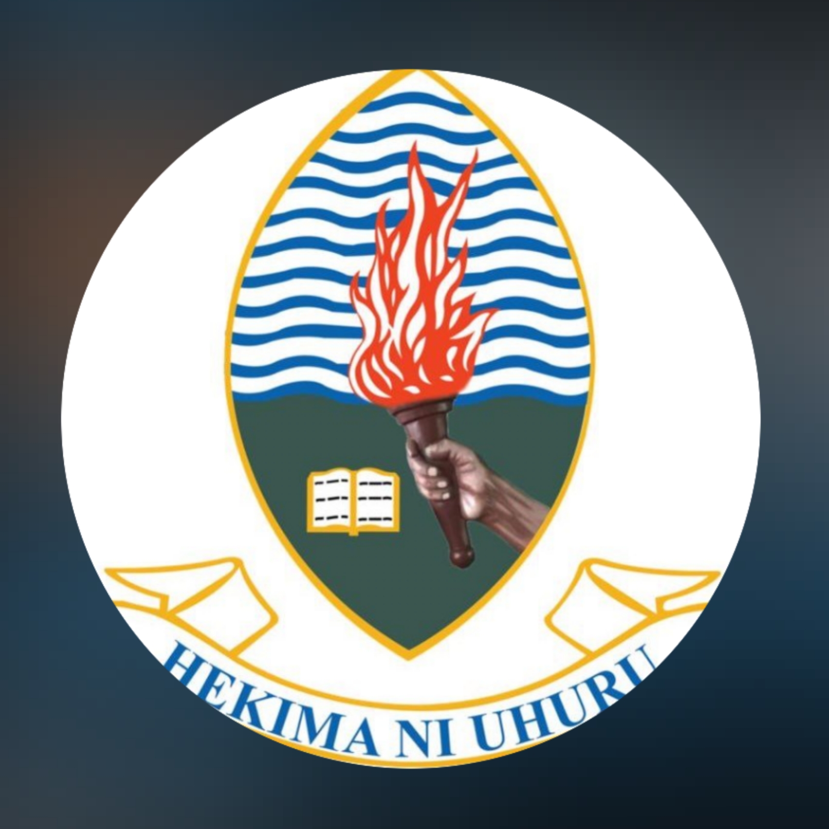 University of Dar es Salaam (Tanzania)