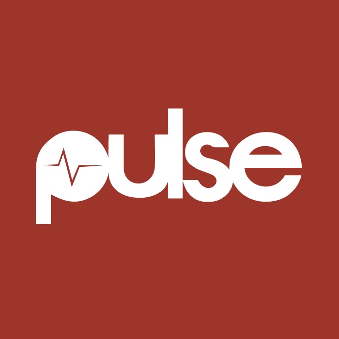 Pulse Nigeria 