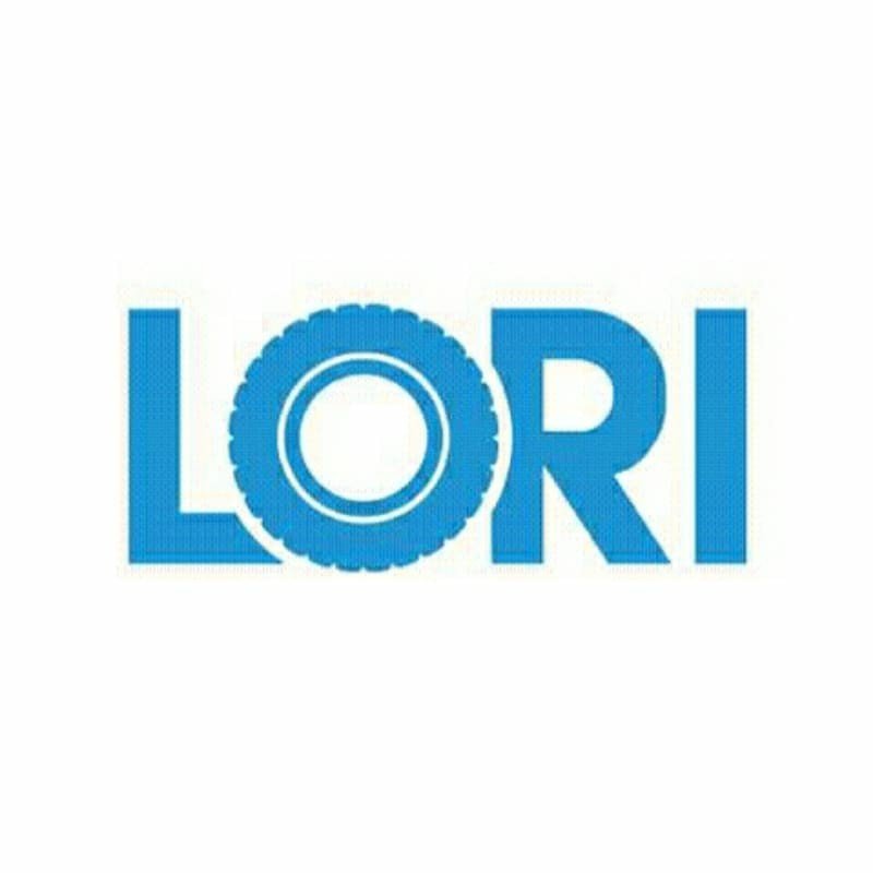 LORI SYSTEMS 