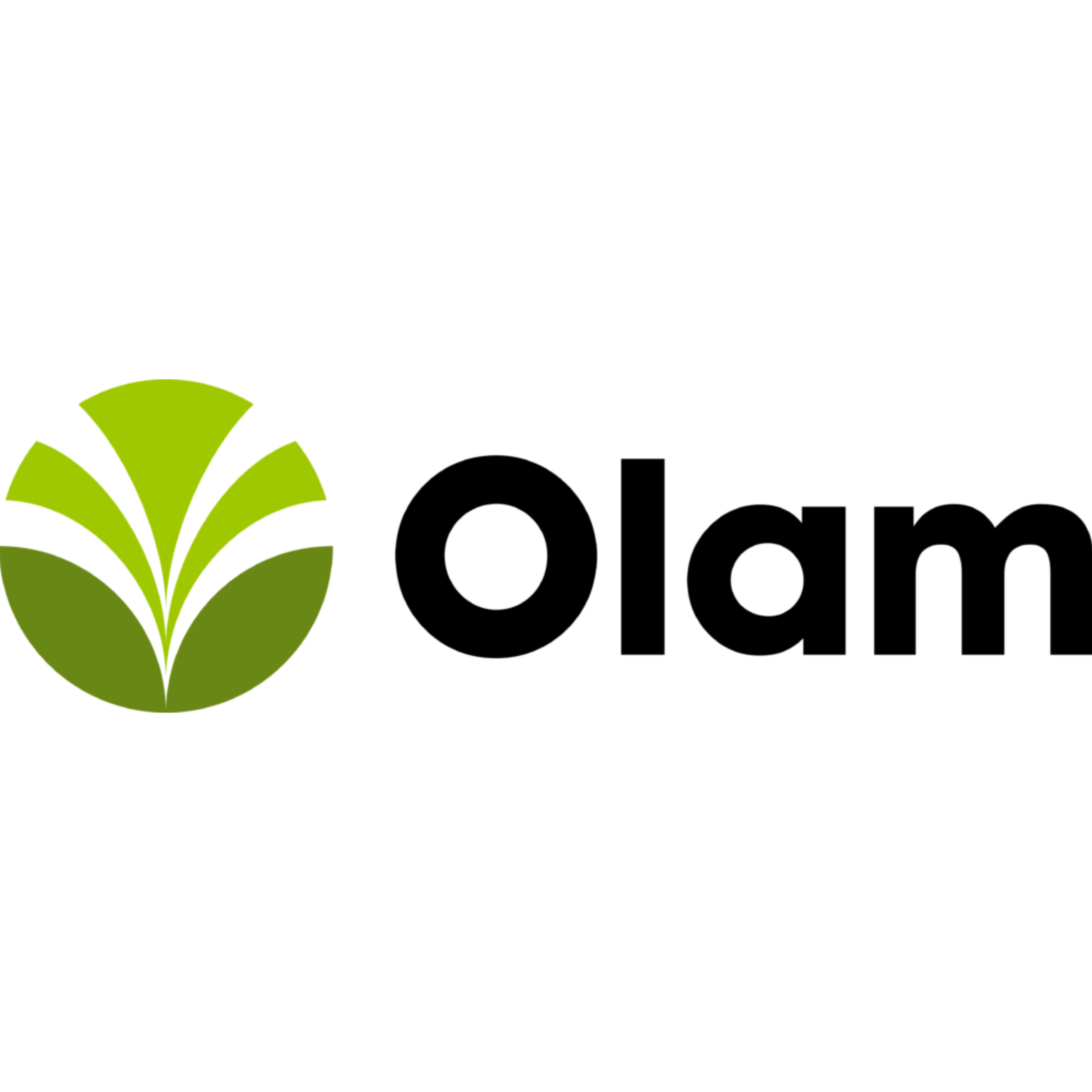 Olam International