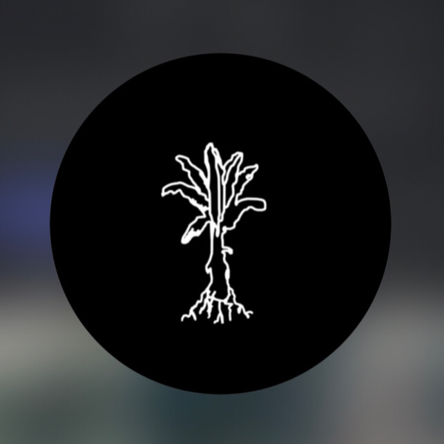 Sole Rebels (Ethiopia)