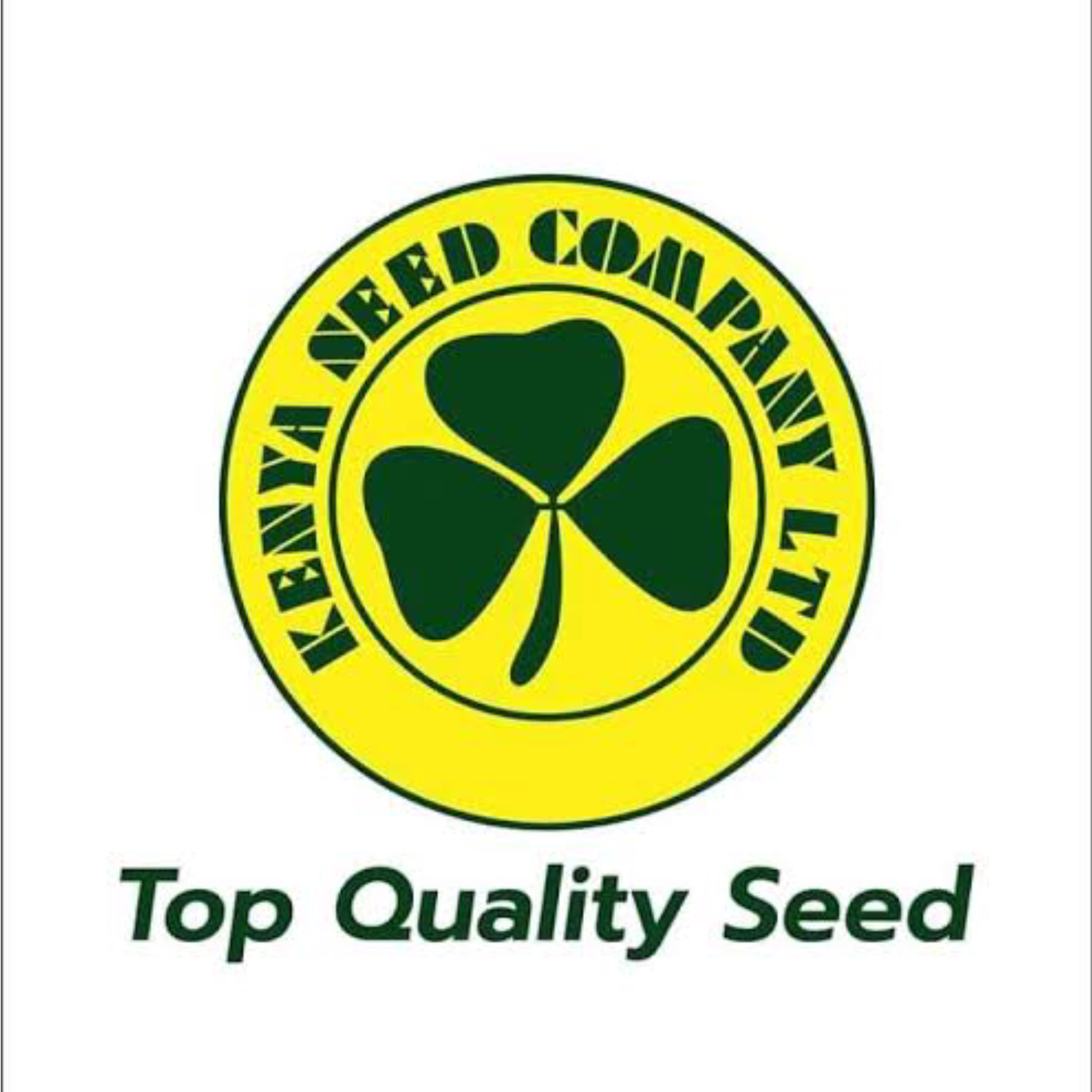 Kenya Seed Company ( Kenya)