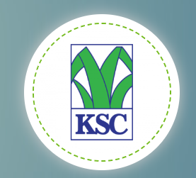 Kenana sugar ( sudan)