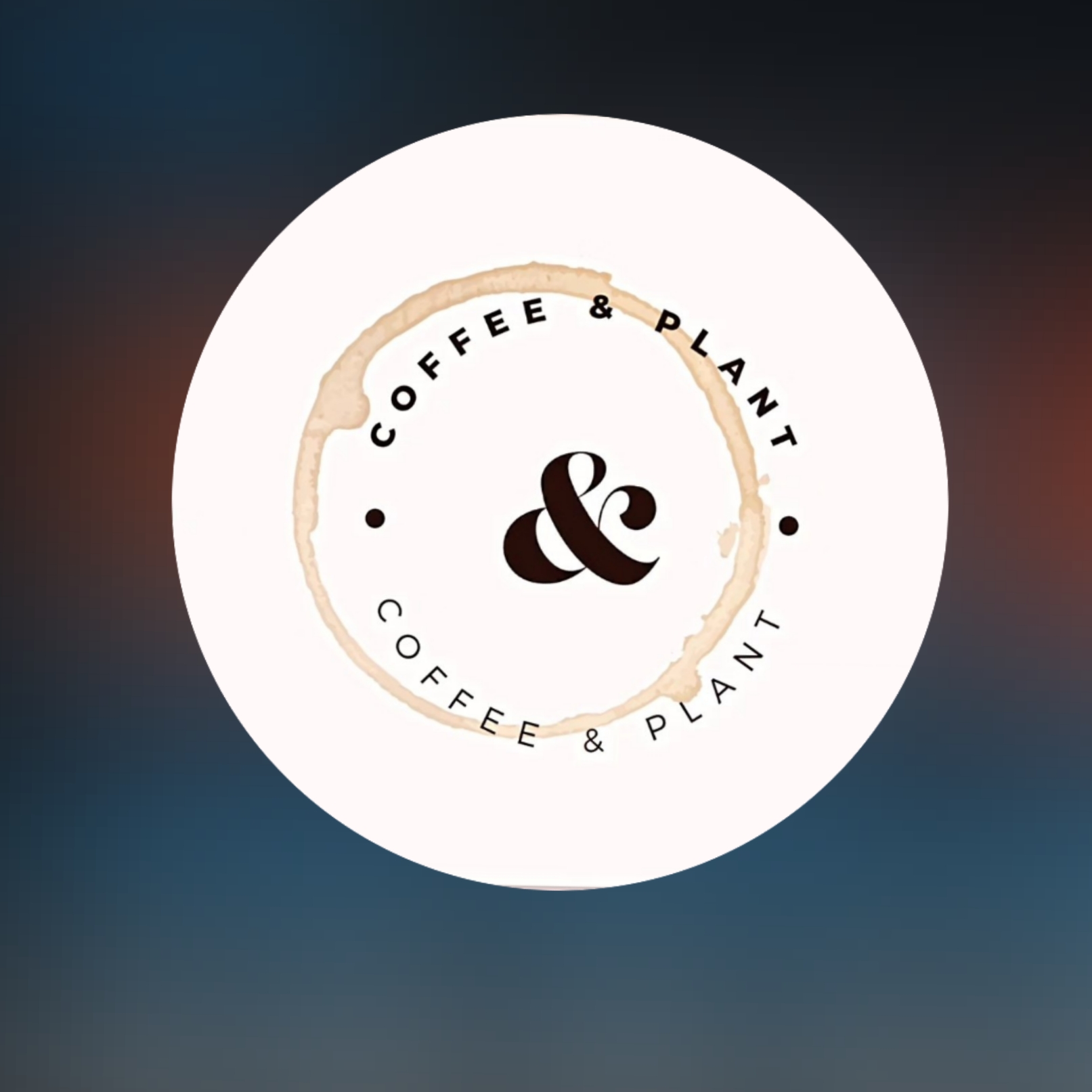 Coffee and Plant (Kenya)