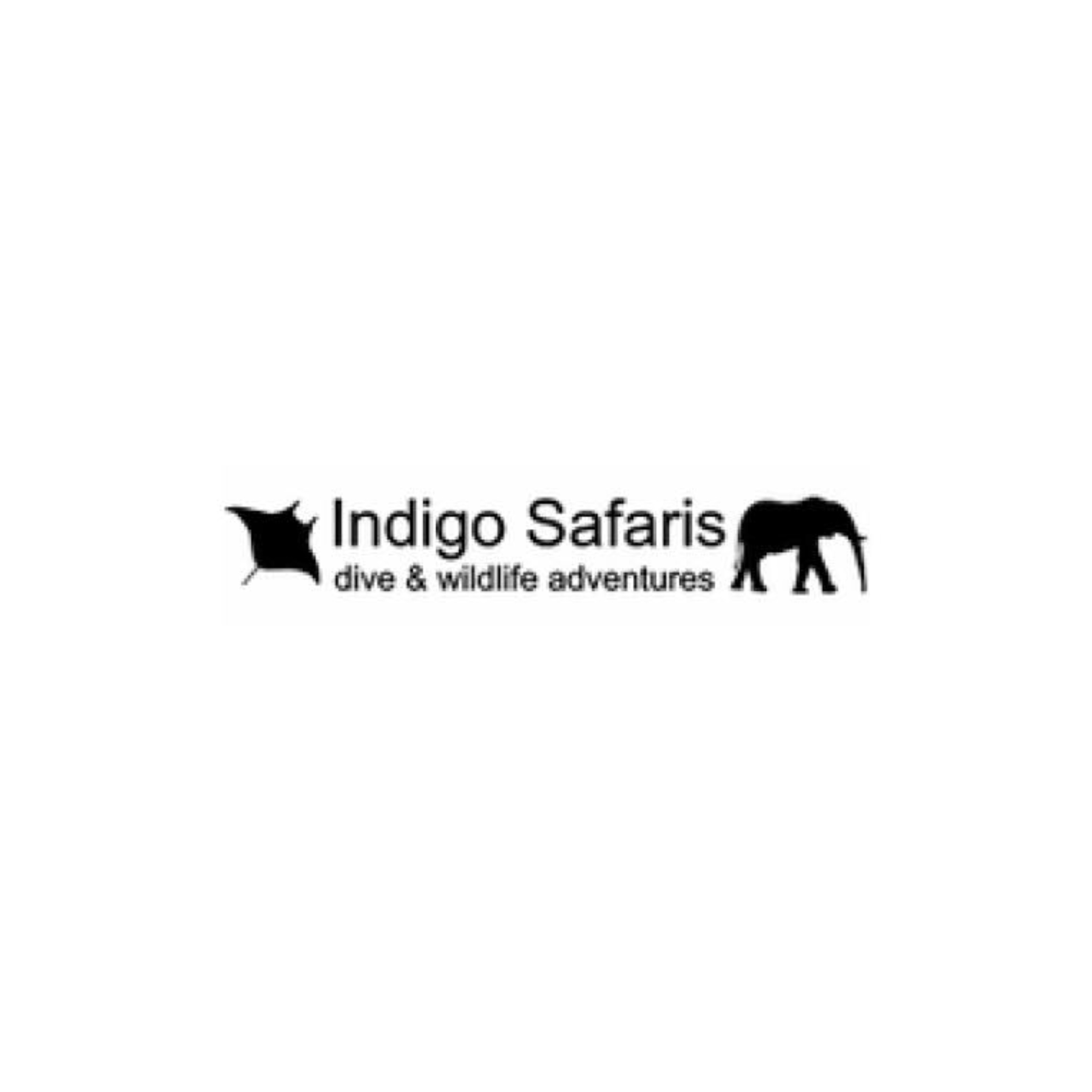 Indigo safaris