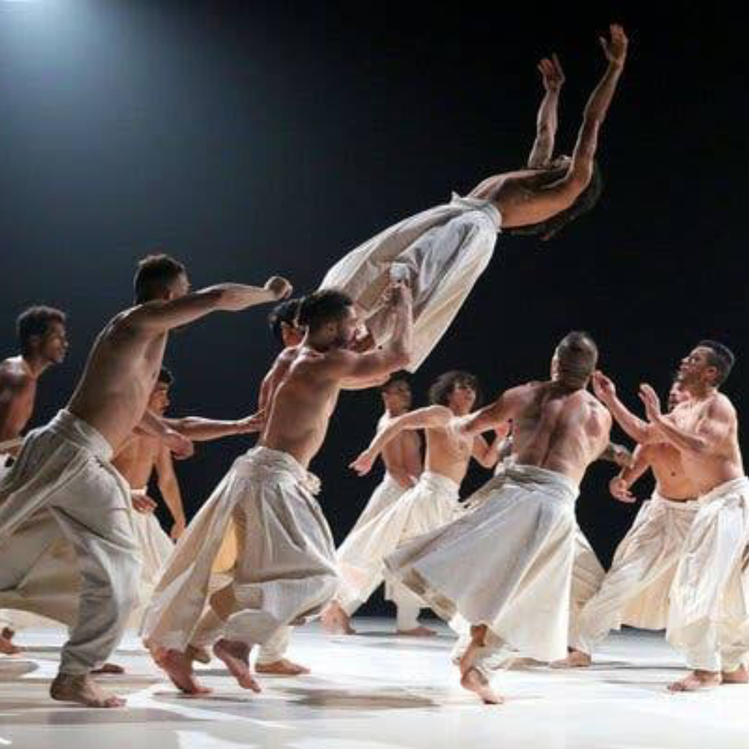 Compagnie Hervé Koubi (Algeria)